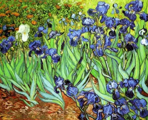 Irises II by Vincent van Gogh - Hand-Painted Oil Painting Reproduction