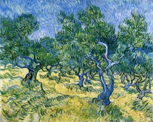 Olive Grove by Vincent van Gogh - Hand-Painted Oil Painting Reproduction